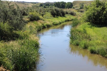 healthy-riparian-(small)